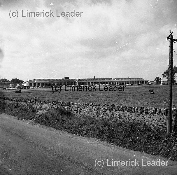 Krups Factory Rathbane 7July 1970 From Limerick With Love